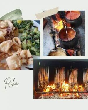 Ribe