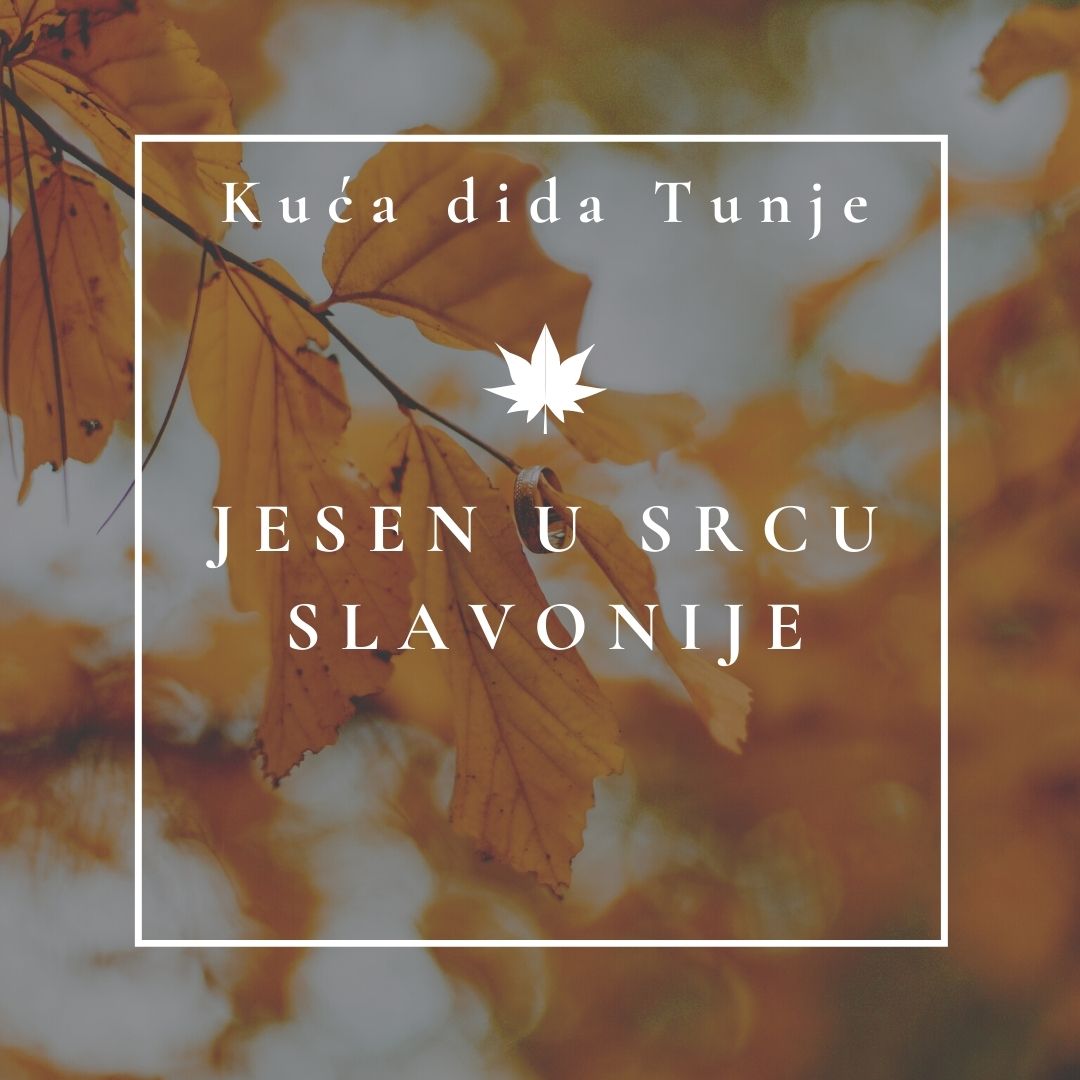 Trenutno pregledavate Jesen u srcu Slavonije